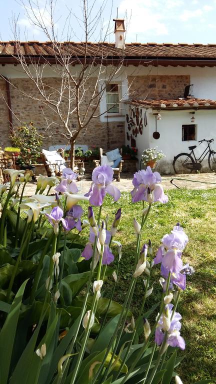 Il Colle Calci Villa ภายนอก รูปภาพ