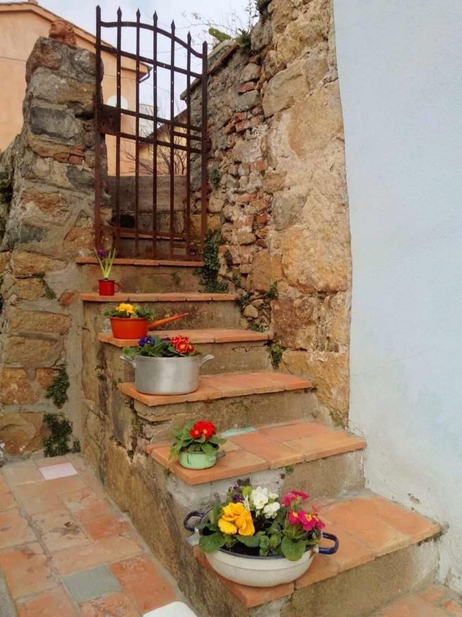 Il Colle Calci Villa ภายนอก รูปภาพ
